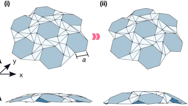 Featured Research