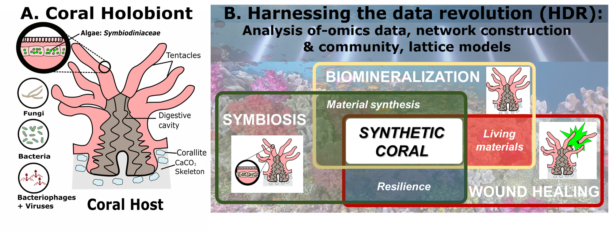 Mechanics, modeling, and beyond Research 사진